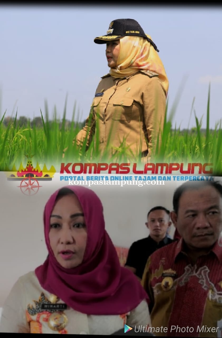 25 Program Pemkab Tulangbawang Bukan Kaleng-Kaleng