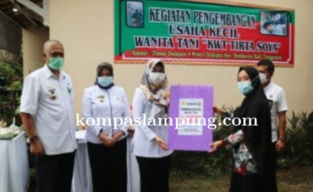 Bupati Tanggamus Serahkan Bantuan Kepada Dua KWT Di Sumberejo