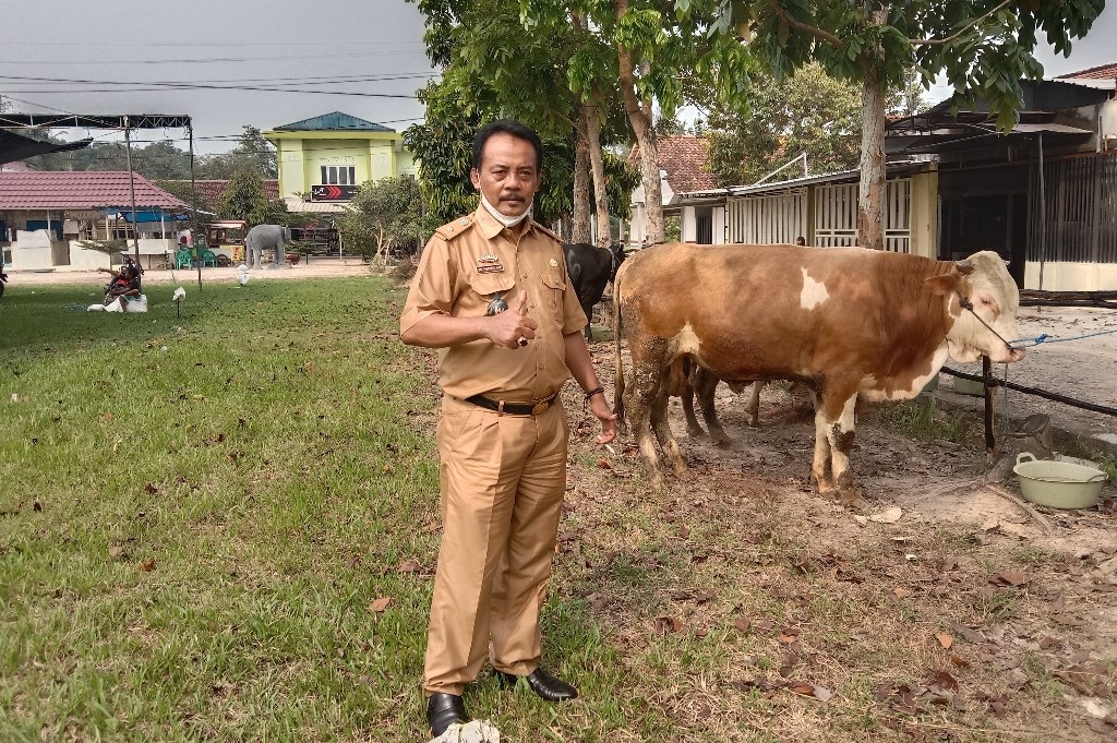 Idul Adha 1442 Hijriyah, Desa Banjar Rejo Besok Potong 80 Ekor Sapi Kurban