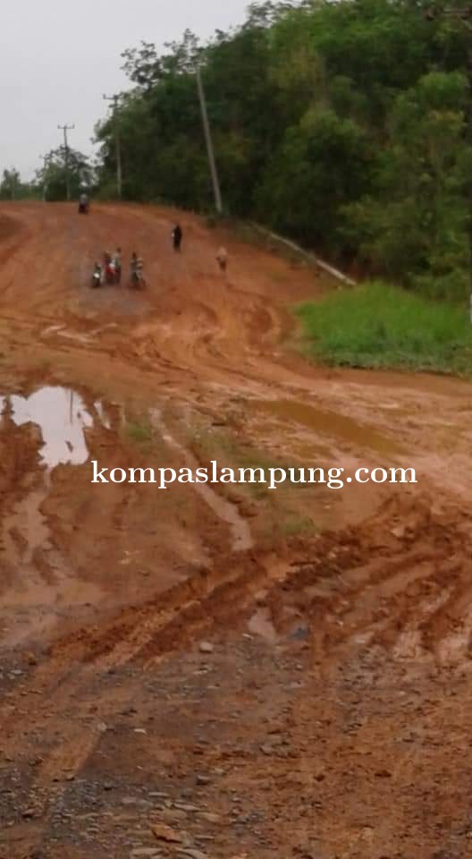 Kondisi Jalan  Desa Harapan Mukti Kabupaten Mesuji Sangat Memperhatinkan