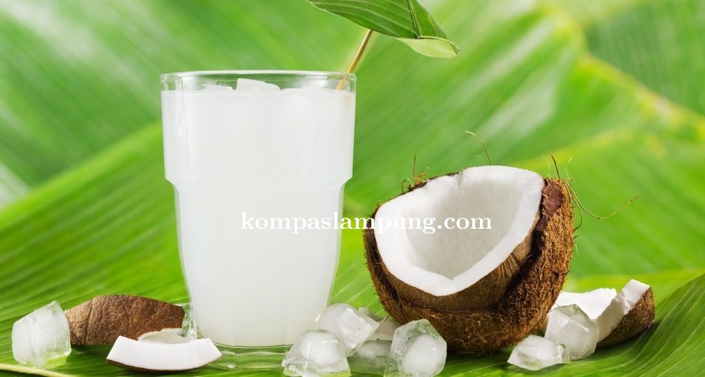 BPOM : Nata De Coco Aman Di Konsumsi Asal Bahan Yang Digunakan Jenis Food Grade