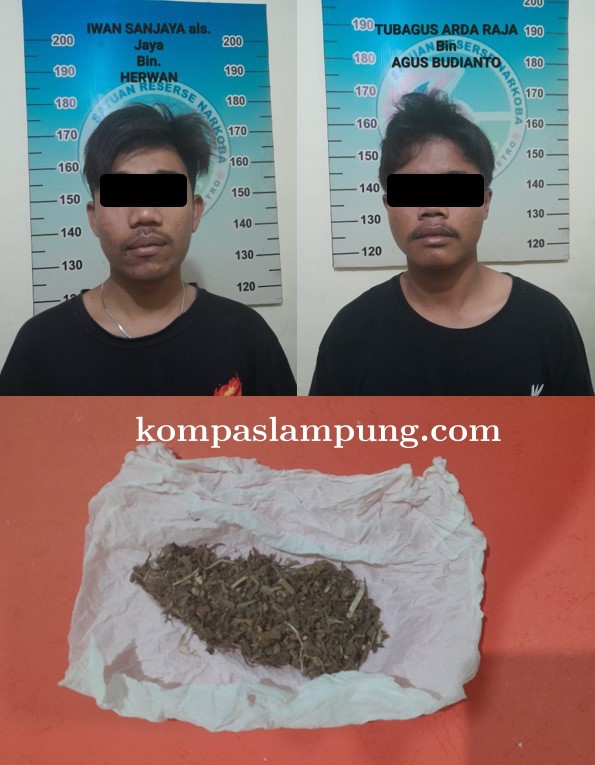 Sat Narkoba Polres Metro Tangkap Dua Pelaku Sebagai Kurir Narkotika Jenis Ganja