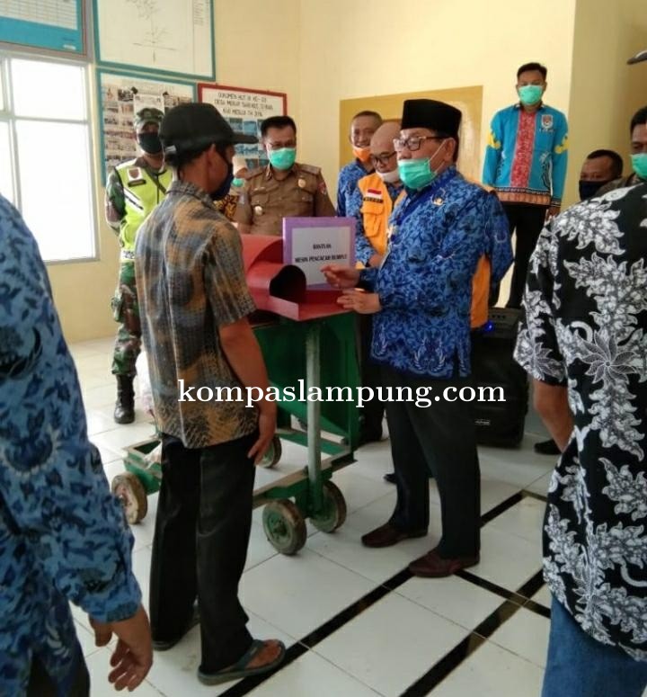 Pemkab Mesuji Melakukan Penyerahan Bantuan Ternak Sapi