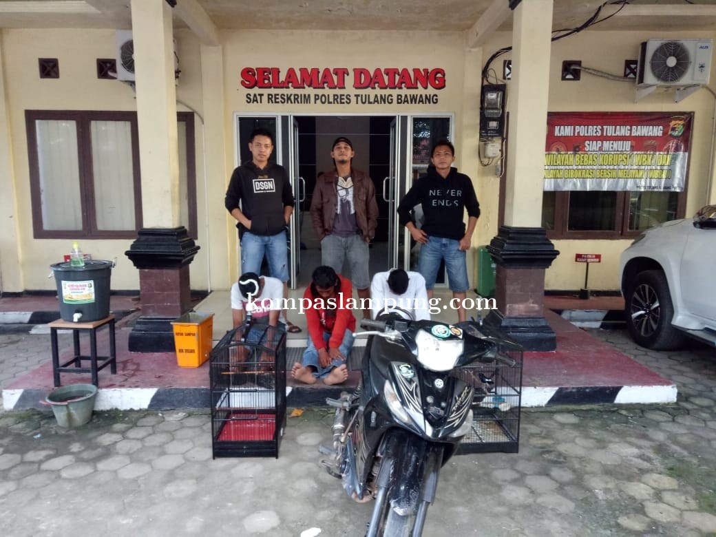 Tekab 308 Polres Tulang Bawang Tangkap Tiga Pelaku Curat Burung Kicau
