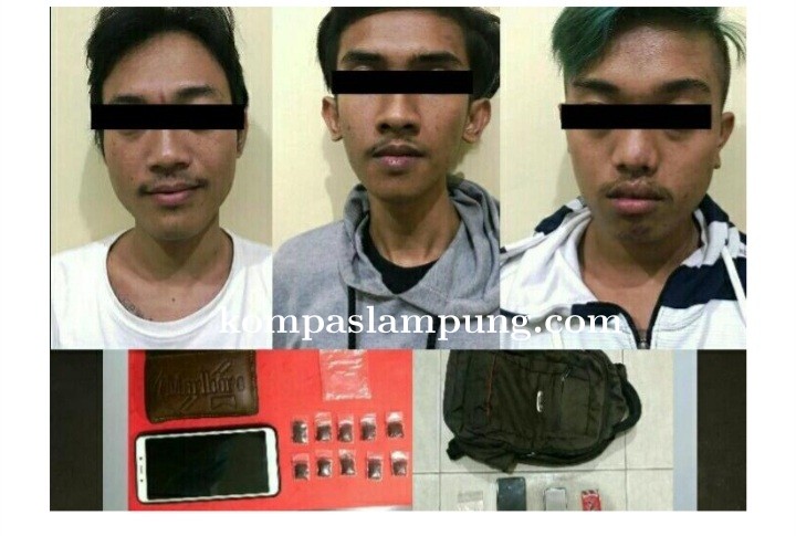 Lagi Lagi Polres Metro Tangkap Tiga Pemuda Pengedar Tembakau Gorila 