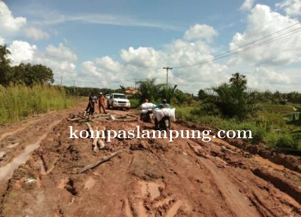 Badan Jalan Ruas Desa Desa Tanjung Mas Rejo Kec Mesuji Timur Yang Rusak Parah Mulai Di Perbaiki