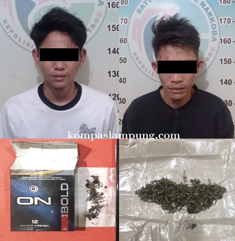 Polres Kota Metro Kembali Tangkap Dua Orang Penyalahguna Narkotika