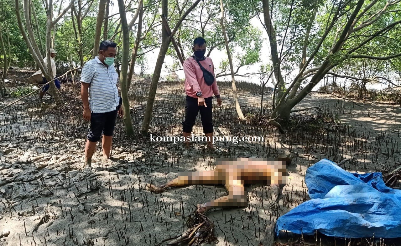 Polsek Dente Teladas Identifikasi Penemuan Mayat Anonim Tanpa Busana